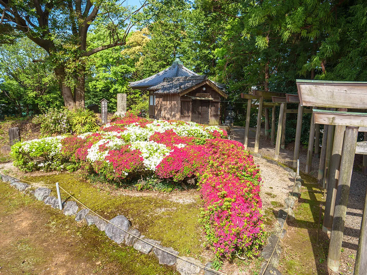 龍神伝説イメージ画像